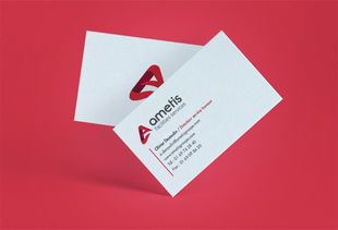 Ametis技術(shù)開(kāi)發(fā)公司企業(yè)品牌形象設(shè)計(jì)與策劃方案