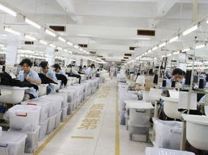 內衣廠家為何信賴波而朵 品質、創新與服務的三重保障